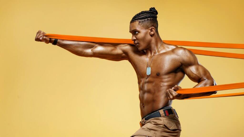 prime male bodybuilding