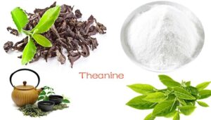 L Theanine foods